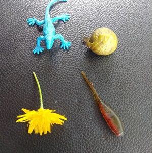 Meet your Posher, Benja